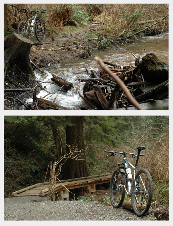 OSS Blog Post #1 - bike collage_1